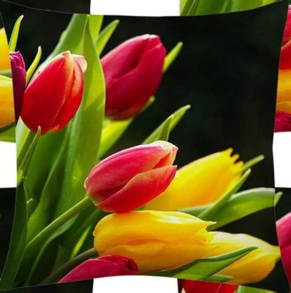 CITY BEST MART Tulip Flowers Beautiful Cushion Covers - 16*16